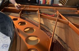 F6D8BF78 E8A9 488F B335 07090D7EBC1C 1 105 c 280x180